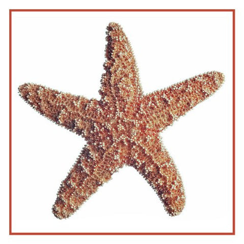 Nautical Seashore Red Starfish Counted Cross Stitch Pattern