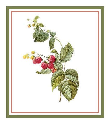 Raspberries Botanical Inspired by Pierre-Joseph Redoute Counted Cross Stitch Pattern