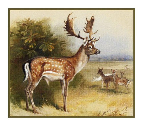 Fallow Deer by Naturalist Archibald Thorburn's Animal Counted Cross Stitch Pattern