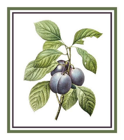 Plums Botanical inspired by Pierre-Joseph Redoute Counted Cross Stitch Pattern