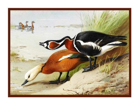 Duck and Goose by Naturalist Archibald Thorburn's Birds Counted Cross Stitch Pattern