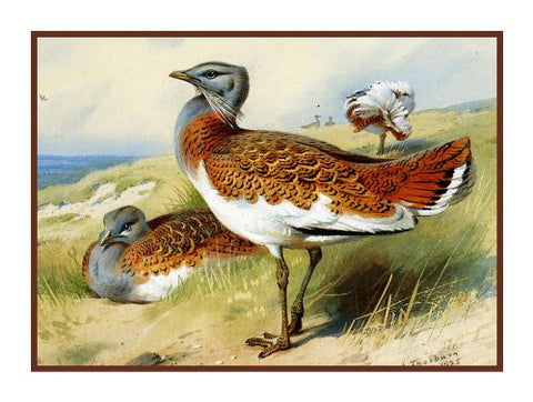 Great Bustard Ducks by Naturalist Archibald Thorburn's Birds Counted Cross Stitch Pattern
