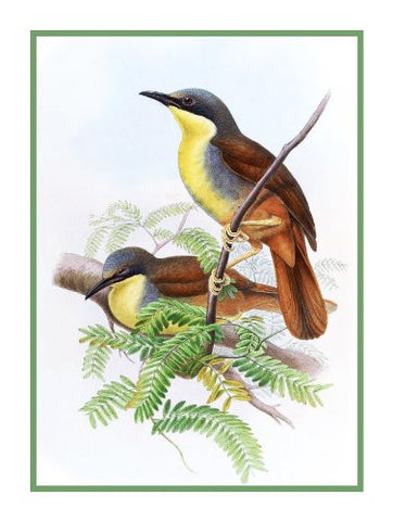 Laughing Thrush by Naturalist John Gould of Birds Counted Cross Stitch Pattern