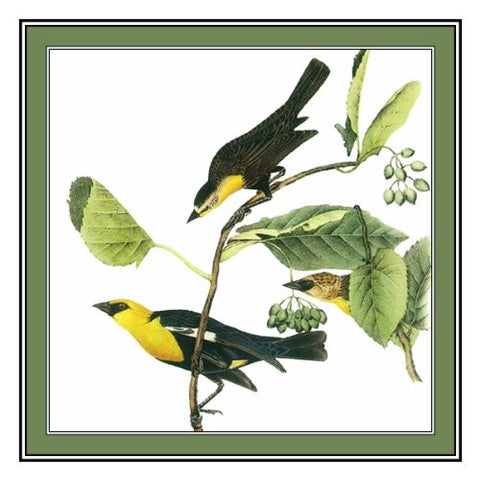 John James Audubon's Bird Illustration of The Yellow Headed Blackbird Counted Cross Stitch Chart