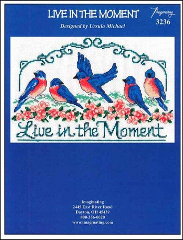 Live In The Moment by Imaginating Counted Cross Stitch Pattern