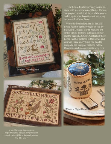 Loose Feathers Mystery Winter By Blackbird Designs Counted Cross Stitch Pattern
