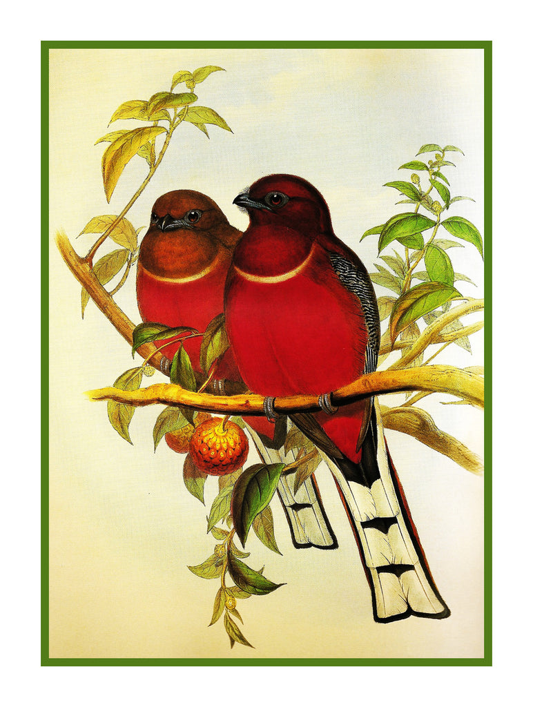 JOHN GOULD INSPIRED Counted Cross Stitch Charts Patterns