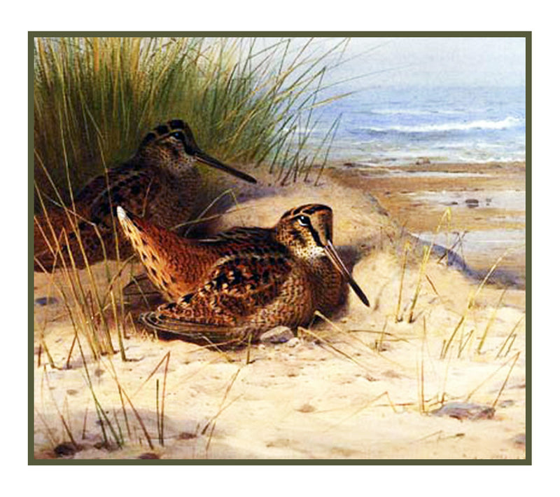 ARCHIBALD THORBURN INSPIRED Counted Cross Stitch Charts Patterns