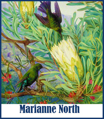 Marianne North INSPIRED Counted Cross Stitch Patterns
