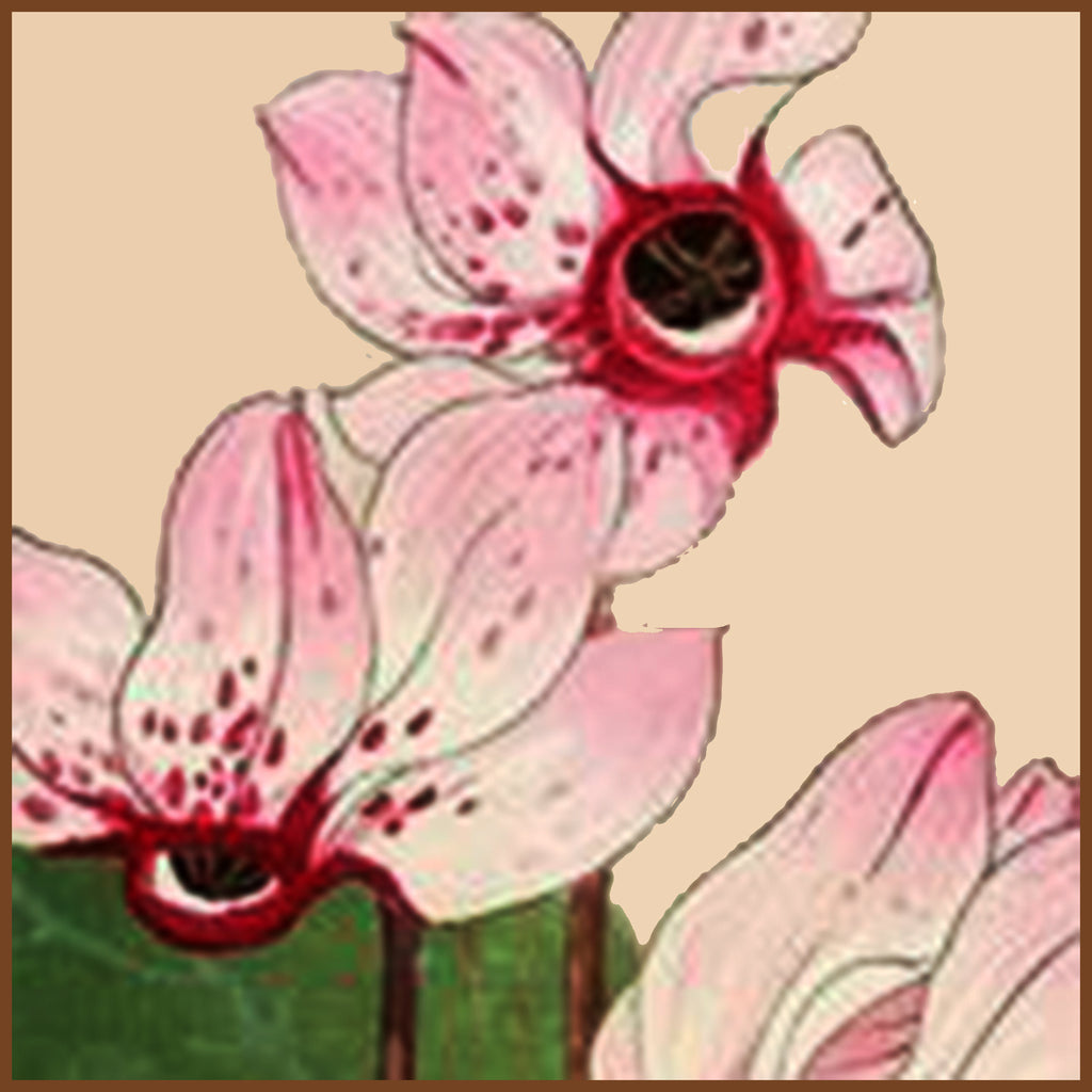 TANIGAMI KONAN INSPIRED Counted Cross Stitch Charts Patterns