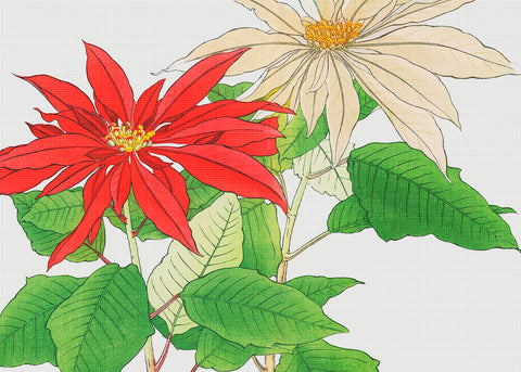 Tanigami Konan Asian Poinsettia Flowers Counted Cross Stitch Pattern