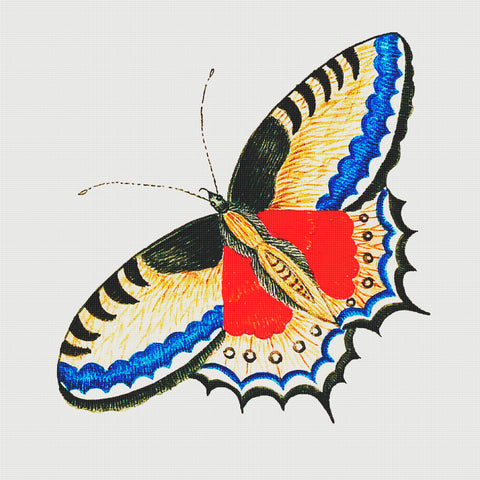 Colorful Blue, Black, Gold and Orange Butterfly Counted Cross Stitch Pattern