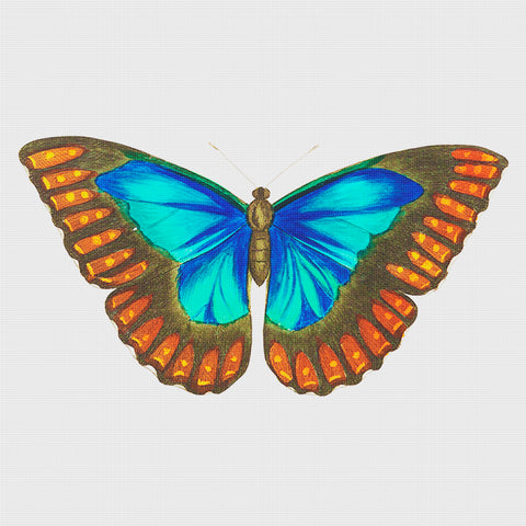 Colorful Blue, Green and Orange Butterfly Counted Cross Stitch Pattern