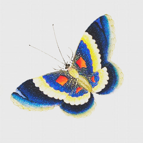 Colorful Blue Gold and Orange Butterfly Counted Cross Stitch Pattern