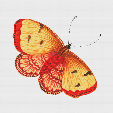 Colorful Gold and Red Sunset Butterfly Counted Cross Stitch Pattern