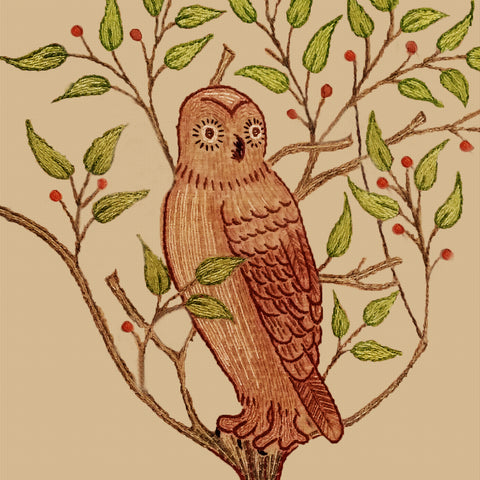 Owl From Homestead Tapestry By May Morris Counted Cross Stitch Pattern