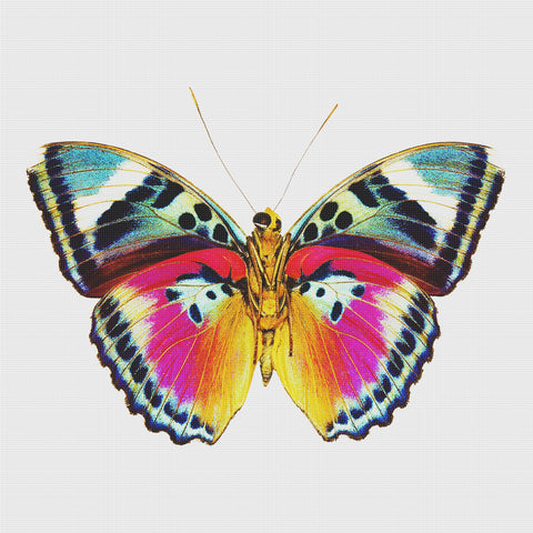 Colorful Rainbow Butterfly Counted Cross Stitch Pattern