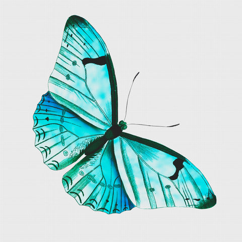 Colorful Turquoise and Black Butterfly Counted Cross Stitch Pattern