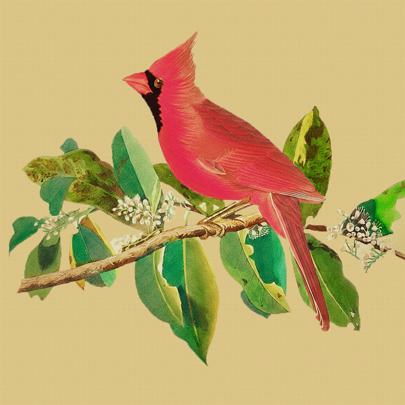 Male Cardinal Bird Illustration Gold Background by John James Audubon Counted Cross Stitch Pattern