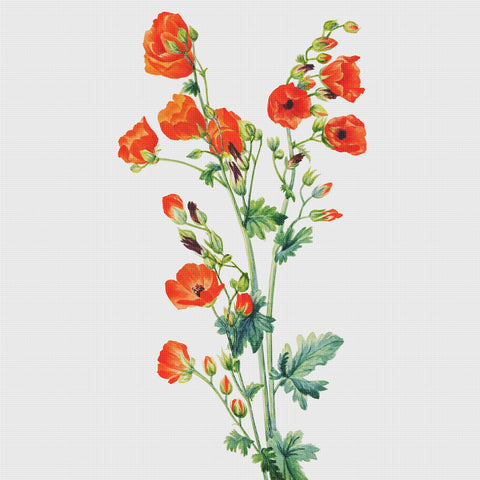 Scarlet Globe Mallow Flowers Inspired by Mary Vaux Walcott Counted Cross Stitch Pattern