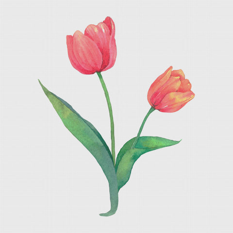 Wild Tulip Flowers Inspired by Mary Vaux Walcott Counted Cross Stitch Pattern