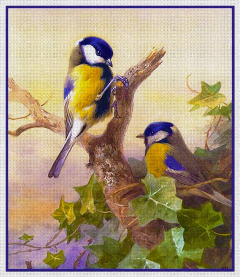 Bluetit Birds on Ivy by Naturalist Archibald Thorburn Counted Cross Stitch Pattern