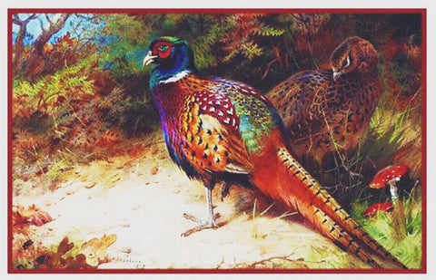 Common Pheasant by Naturalist Archibald Thorburn Counted Cross Stitch Pattern DIGITAL DOWNLOAD