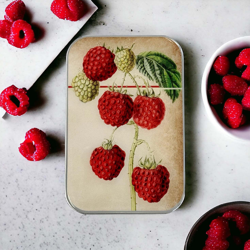 Raspberry NEEDLE CASE NEEDLE ORGANIZER-Large