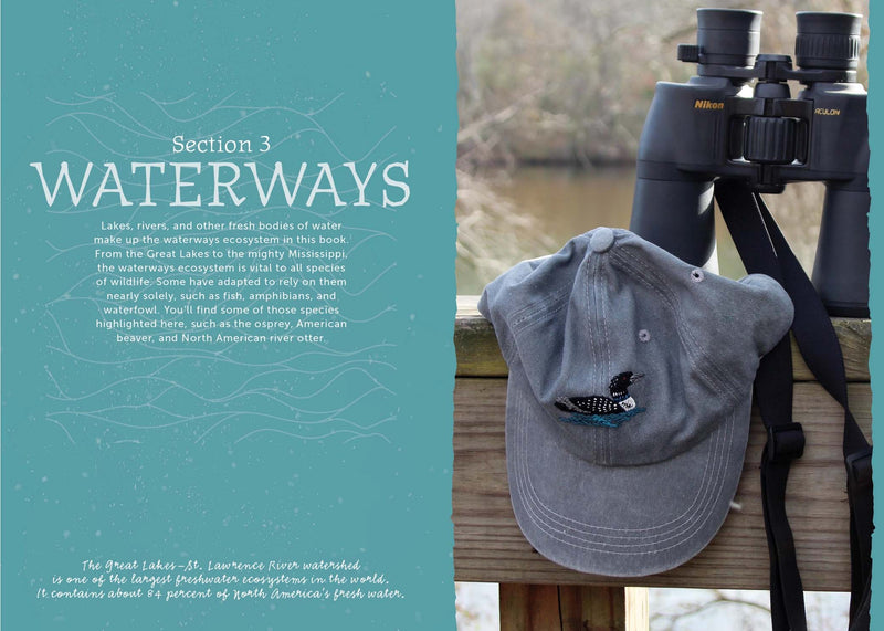 The Field Guide to Embroidery: 52 North American Animal and Plant Designs for Nature Lovers (Beginner-Friendly, Step-by-Step Wildlife Patterns with ... Manatees, Bears, Moose, Flowers, and More By Jessica Kemper