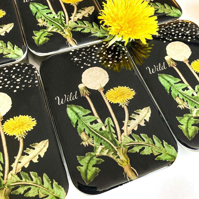 Dandelion NEEDLE CASE NEEDLE ORGANIZER-Large