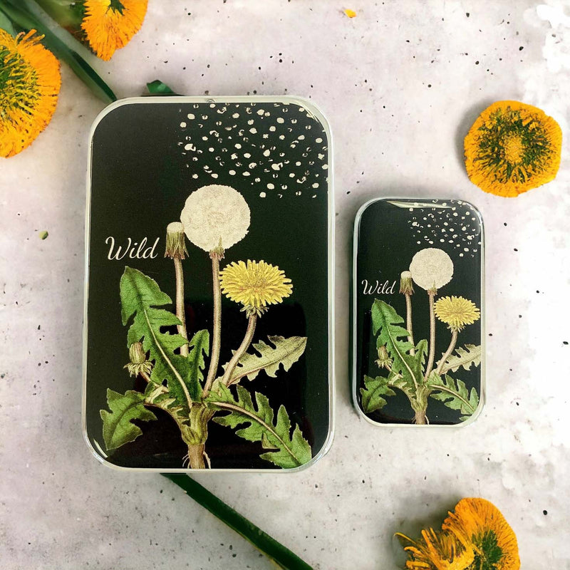 Dandelion NEEDLE CASE NEEDLE ORGANIZER-Large
