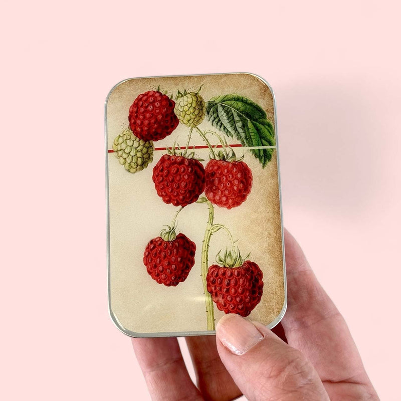 Raspberry NEEDLE CASE NEEDLE ORGANIZER-Large