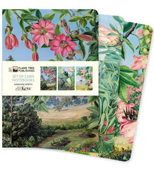Kew Gardens Marianne North Set of 3 Midi Notebooks  From Flame Tree Studios