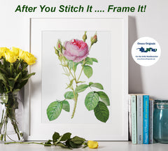 [product_title] - Orenco Originals LLC Counted Cross Stitch