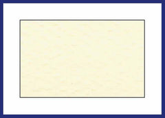 SMALL NEEDLEWORK CARDS. RECTANGULAR OPENING...Ivory