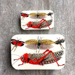 Cricket Storage Tin NEEDLE CASE NEEDLE ORGANIZER-Small