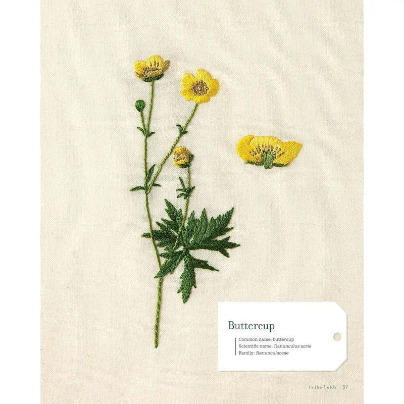 Embroidering Plants and Flowers For Beginners by Charlène Pourias
