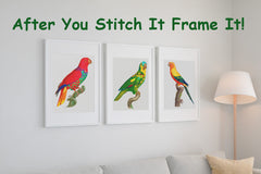 The  Eclectus Parrot Bird by Francois Levaillant Counted Cross Stitch Pattern