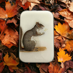 Yarn Squirrel Tin NEEDLE CASE NEEDLE ORGANIZER-Large