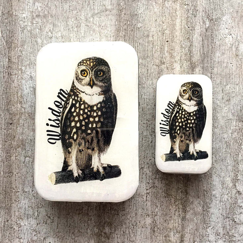 Wise Owl Tin NEEDLE CASE NEEDLE ORGANIZER-Small