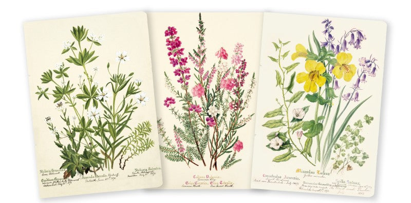 Royal Botanic Garden Edinburgh Set of 3 Midi Notebooks From Flame Tree Studios