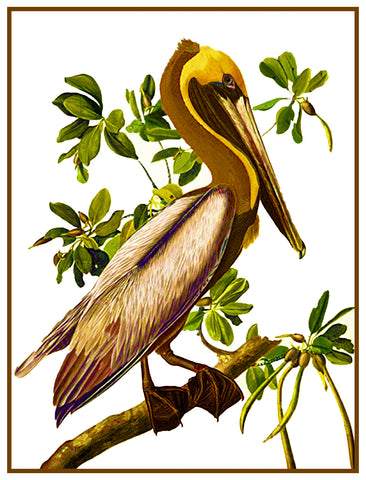 Brown Pelican Bird Illustration by John James Audubon Counted Cross Stitch Pattern