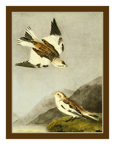 Snow Bunting Birds Illustration by John James Audubon Counted Cross Stitch Pattern