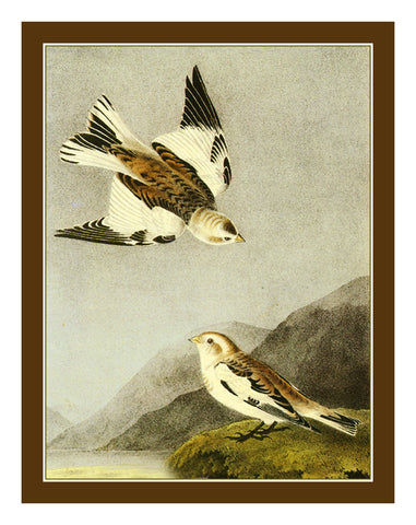 Snow Bunting Birds Illustration by John James Audubon Counted Cross Stitch Pattern