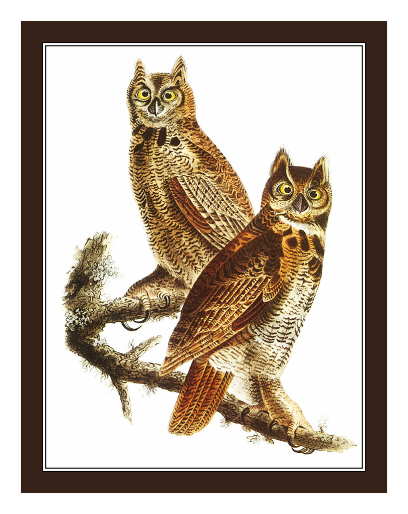 [product_title] - Orenco Originals LLC Counted Cross Stitch