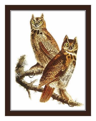 Pair of Great Horned Owls Birds Illustration by John James Audubon Counted Cross Stitch Pattern