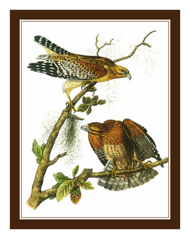 Pair of Red Tailed Hawks Birds Illustration by John James Audubon Counted Cross Stitch Pattern