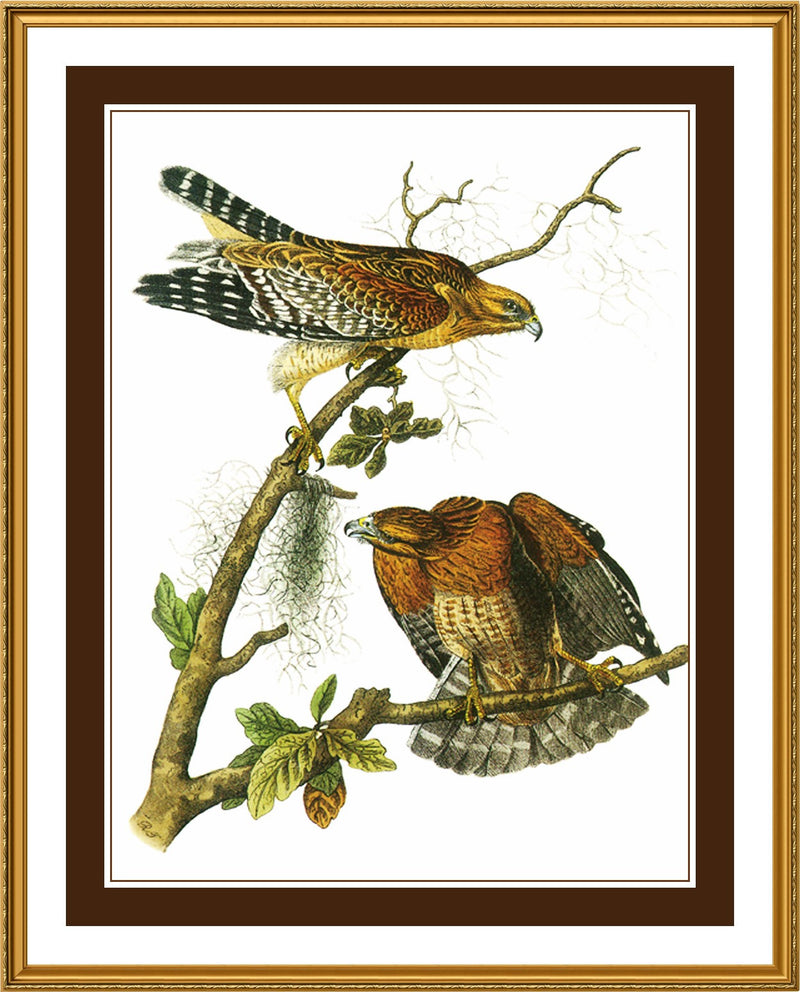 [product_title] - Orenco Originals LLC Counted Cross Stitch
