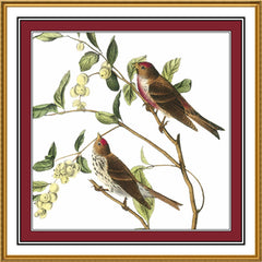 product_title] - Orenco Originals LLC Counted Cross Stitch