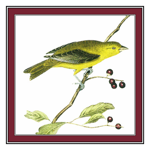 Scarlet Tanager Bird Illustration by John James Audubon Counted Cross Stitch Pattern